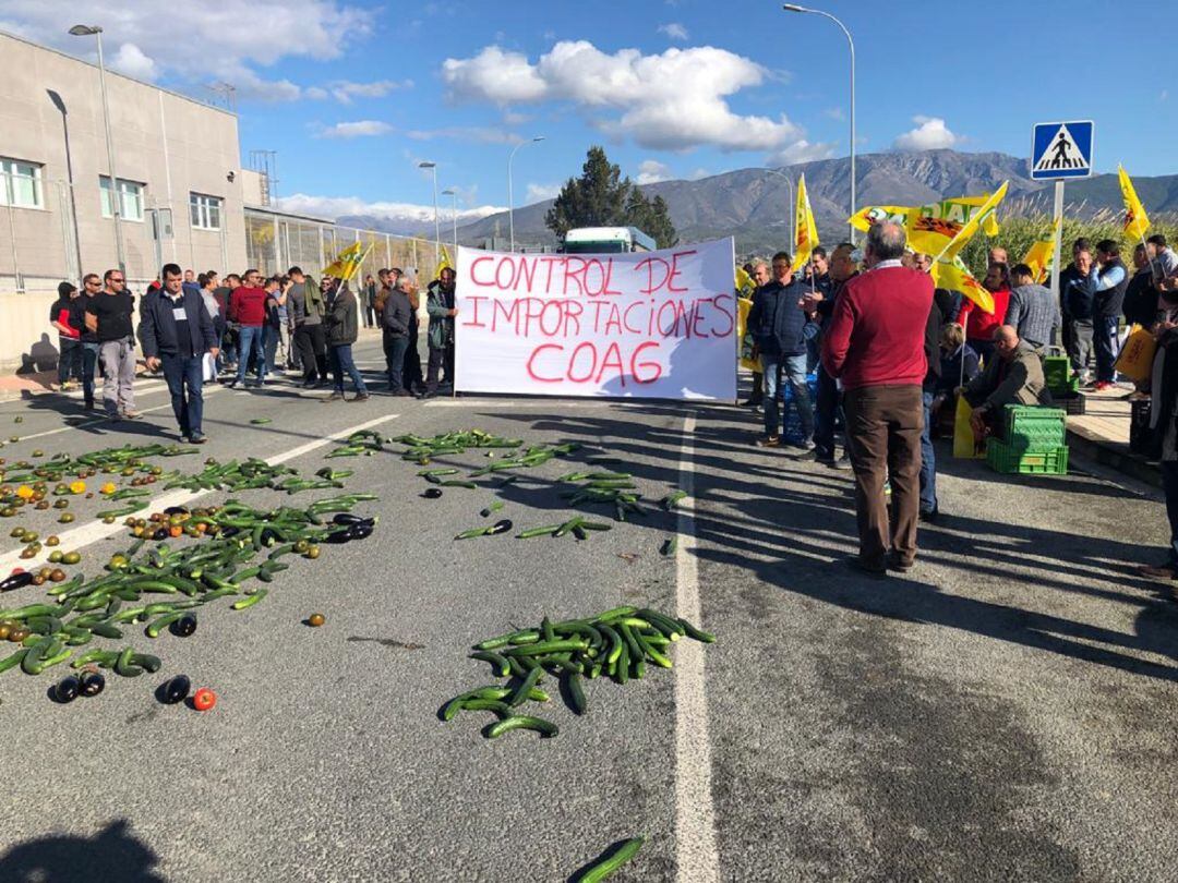 Agricultores protestan en el Puerto de Motril convocados por el sindicato COAG