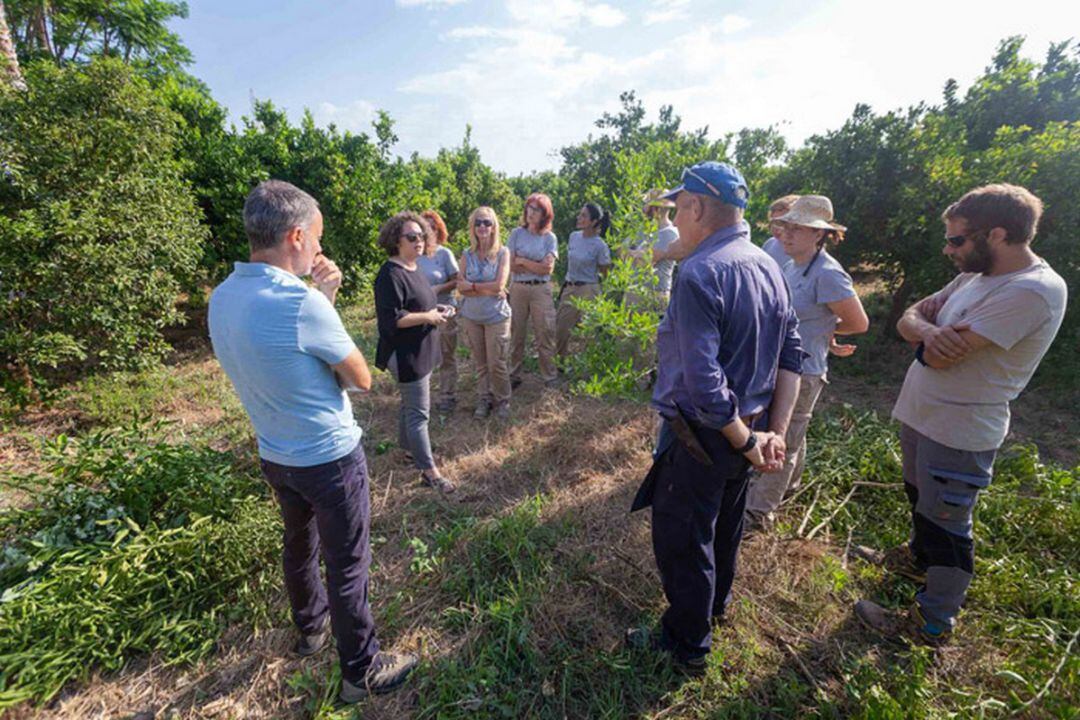 Visita a los cultivos autóctonos en la Torre dels Pares de Gandia. 