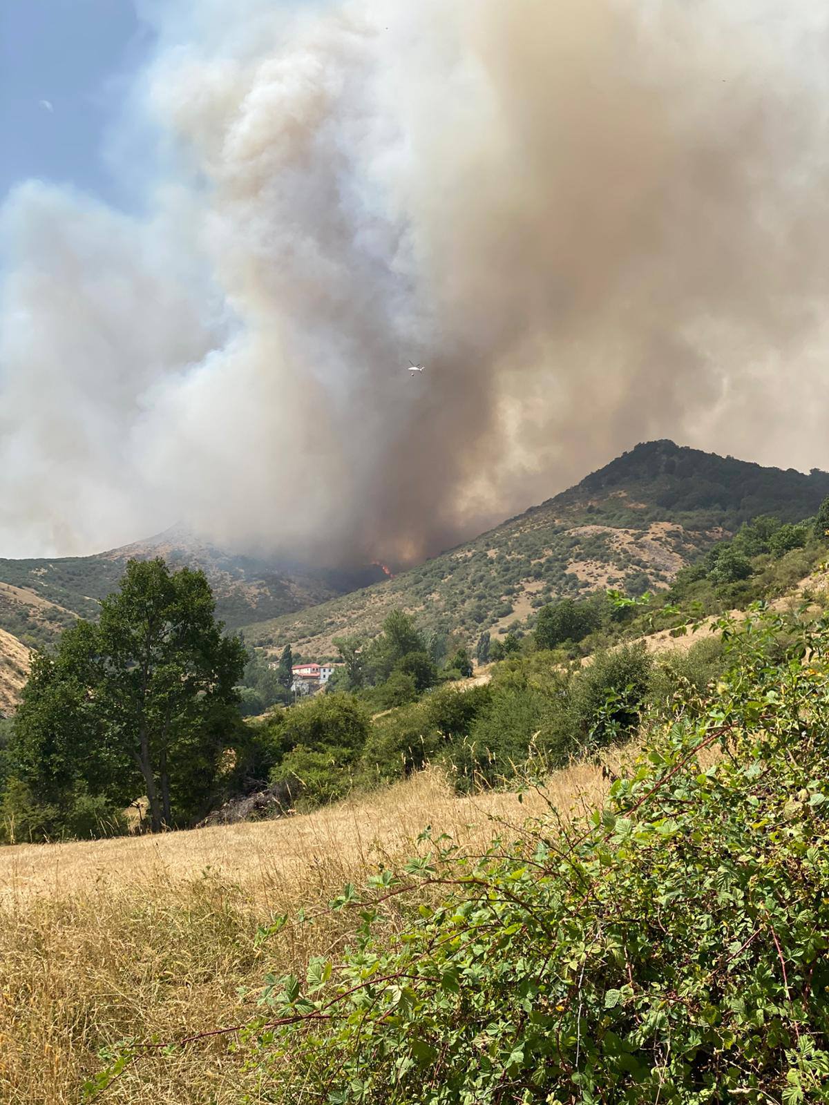 Sigue la lucha contra el fuego en la Montaña Palentina