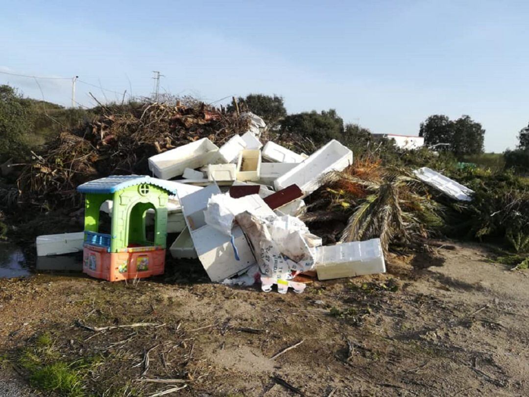 Restos de podas y escombros arrojados en un lugar no habilitado