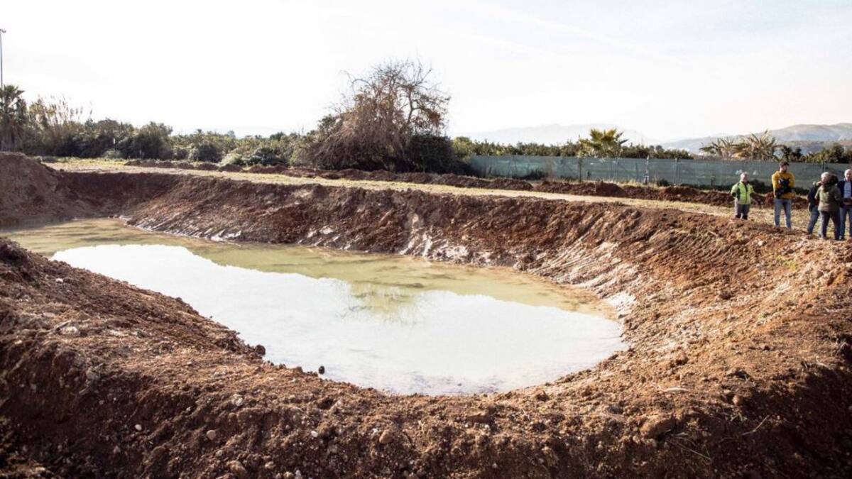 Convierten una parcela municipal en un nuevo ullal en el Grau