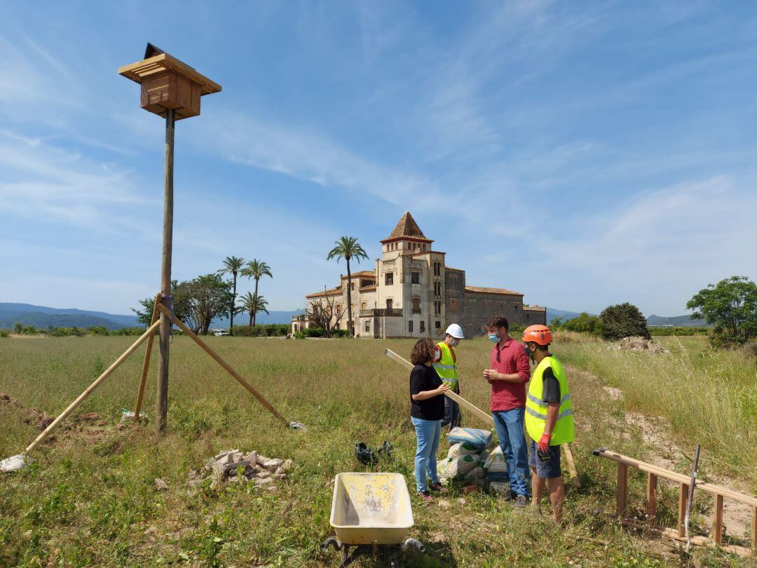 Cajas nido en la Torre del Pares de Gandia 
