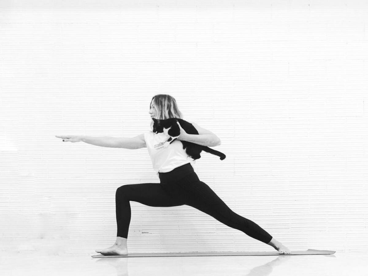 Yoga con gatos