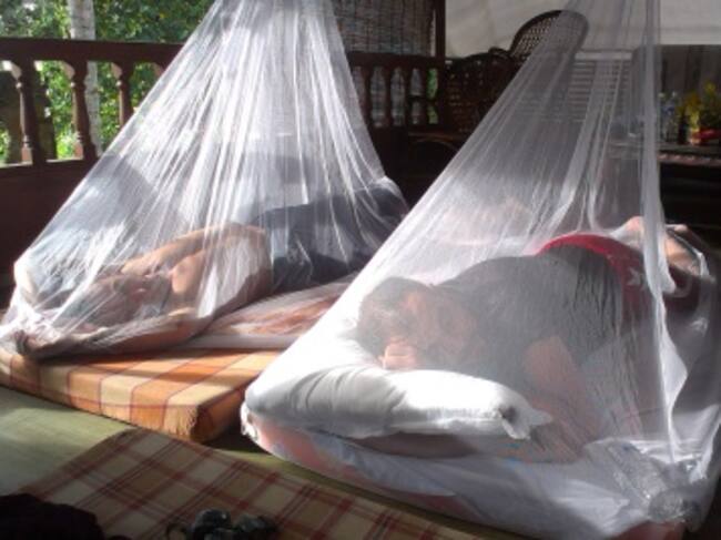 Mario, durmiendo placidamente, en un colchón con dosel en Back Water Kumarakon, India