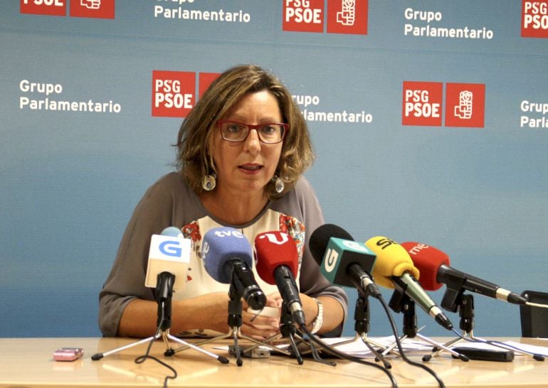 Carmen Gallego, diputada por Pontevedra, renuncia a formar parte de las listas socialistas de cara a las autonómicas.