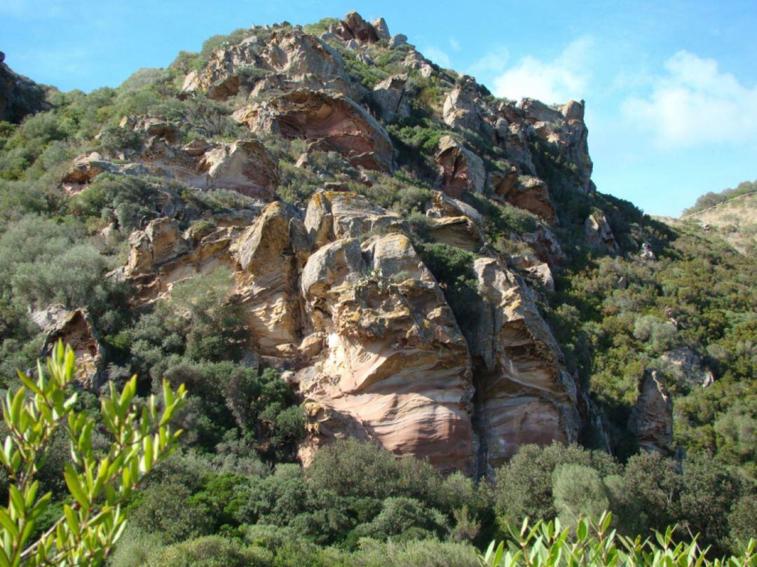 El GOB vol que s'impedeixi el pas de persones per llocs d'especial interès per a la cria d'animals.