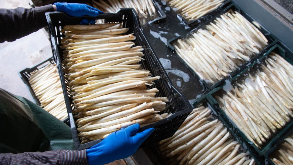 La Buena Mesa - Tiempo de espárragos (05/04/2021)