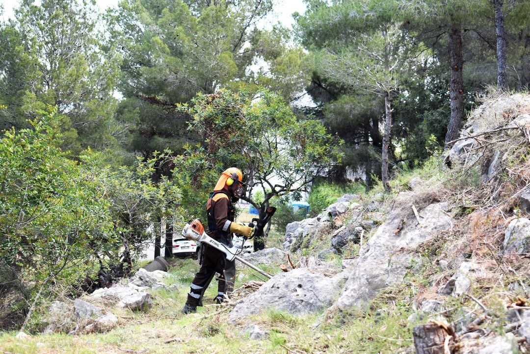 Trabajos de una brigada forestal en la Safor. 