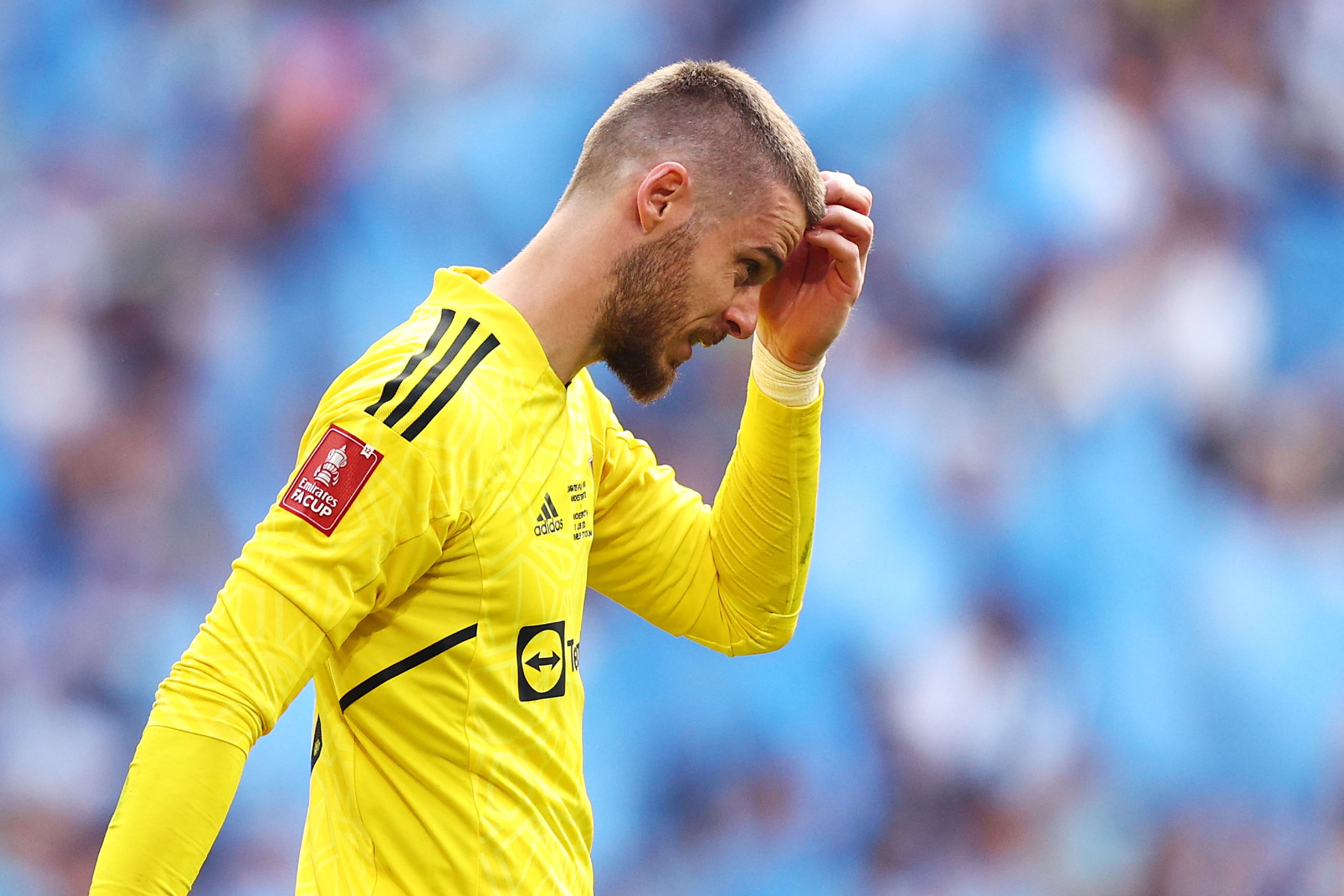 David de Gea, durante la FA Cup ante el Manchester City