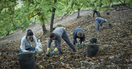 Comienza la nueva campaña