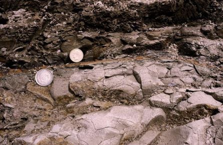 Detalle de las margas del Cretácico (Maastrichtiense), el nivel rojo de impacto (entre monedas) y arcilla oscura del límite KT de Caravaca