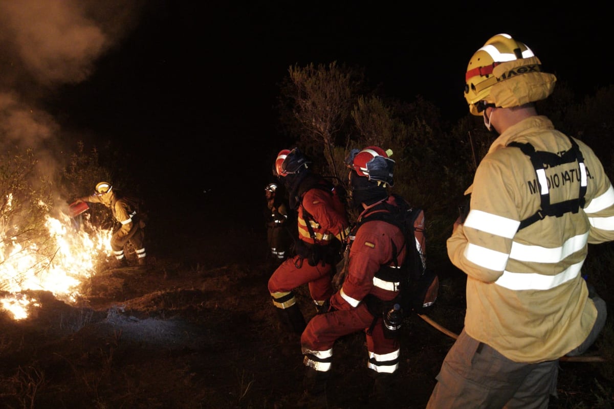 Los bomberos tratan de combatir el fuego declarado ayer en la localidad de El Ladrillar (Cáceres) donde la UME está colaborando con el dispositivo Infoex.