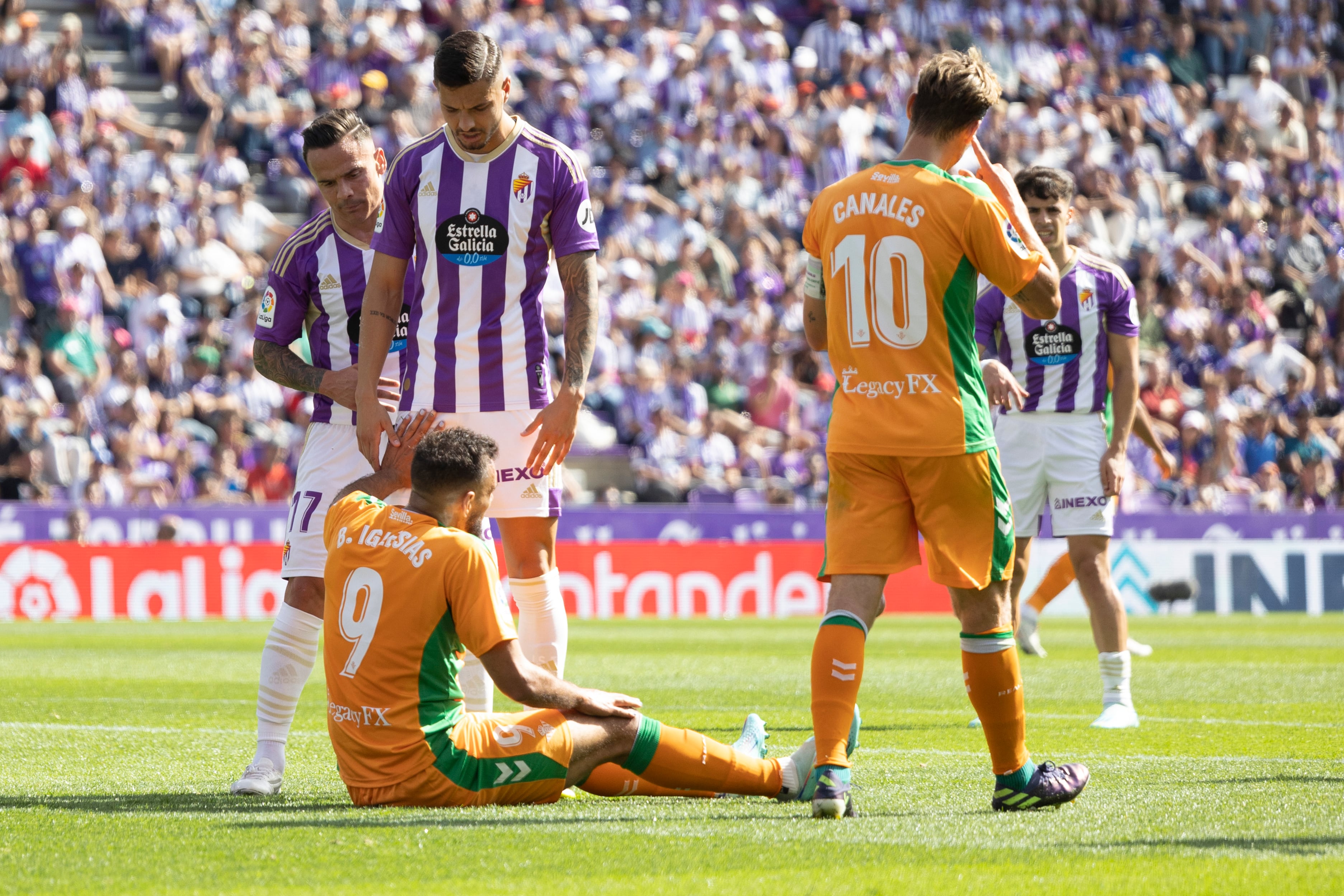 VALLADOLID, 09/10/2022.- El delantero del Betis Borja Iglesias (en el suelo) se duele tras una acción durante el partido que enfrentó al Real Valladolid y al Betis en el estadio José Zorrilla en Valladolid, este domingo. EFE/ R. García
