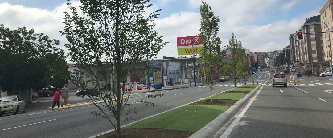 Plantación de árboles en Fonteculler