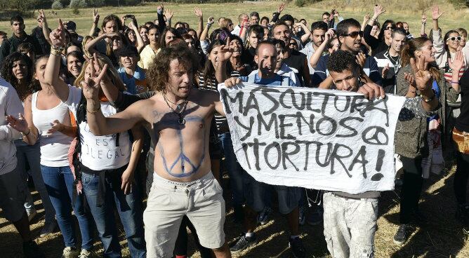 Antitaurinos protestan durante la celebración esta mañana del Toro de la Vega en la localidad vallisoletana de Tordesillas