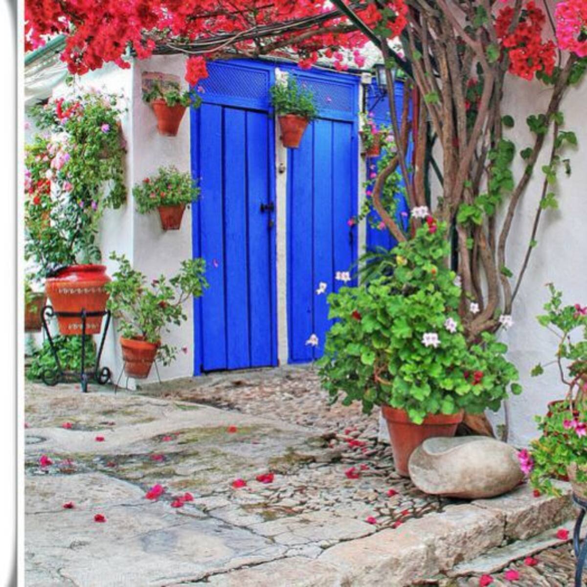 Los Patios tendrán web y aplicación informativa además de señal wifi