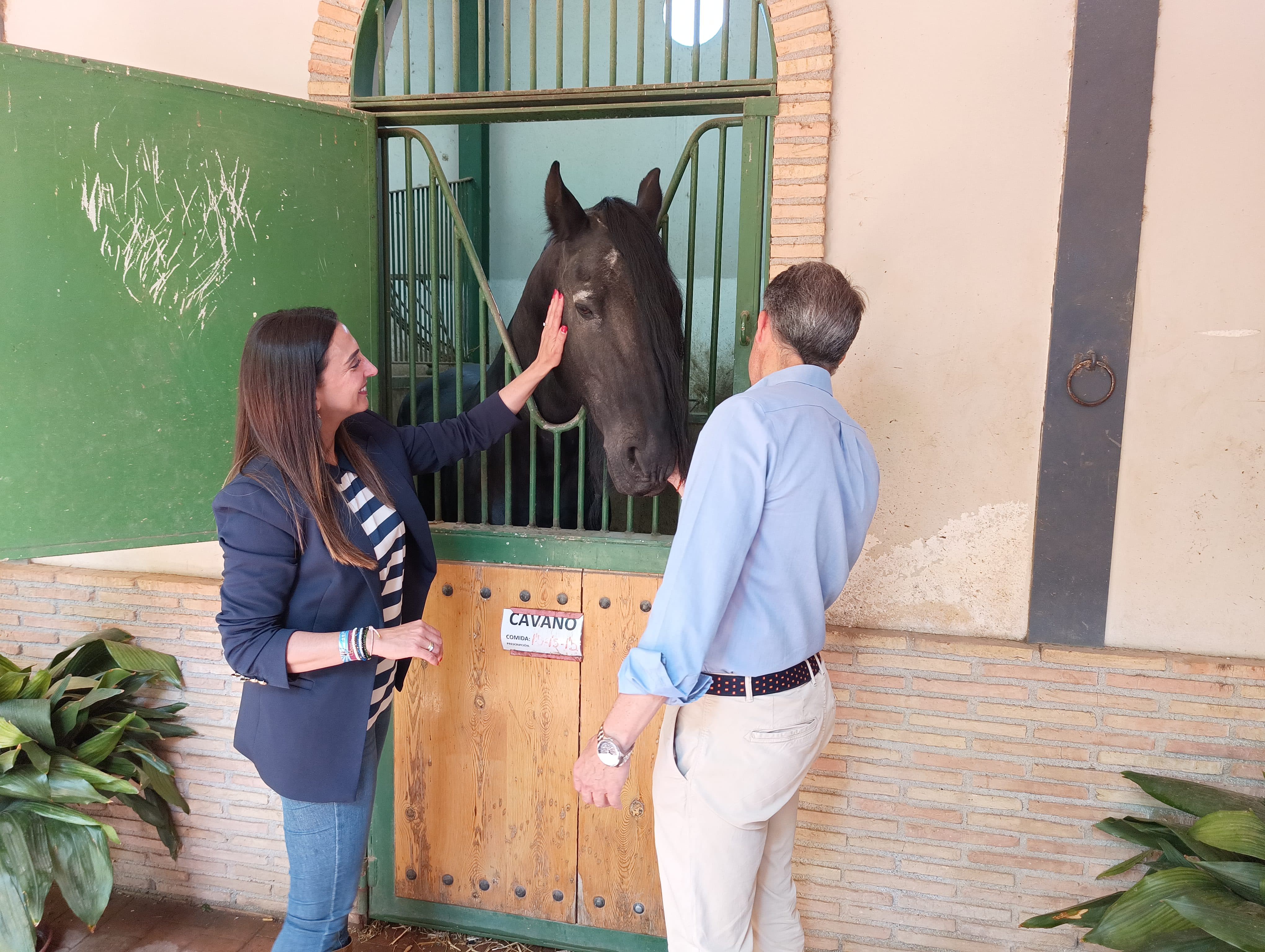 La consejera Sara Rubira, junto al alcalde de Lorca, en las cuadras donde se encuentran los sementales del Centro Militar de cría caballar de Écija dentro del CIFEA de Lorca.