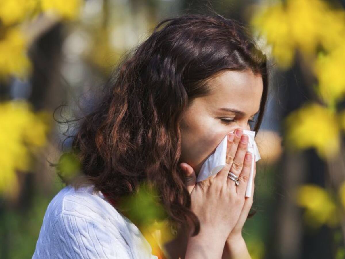 Y de la alergia, ¿cómo vas?