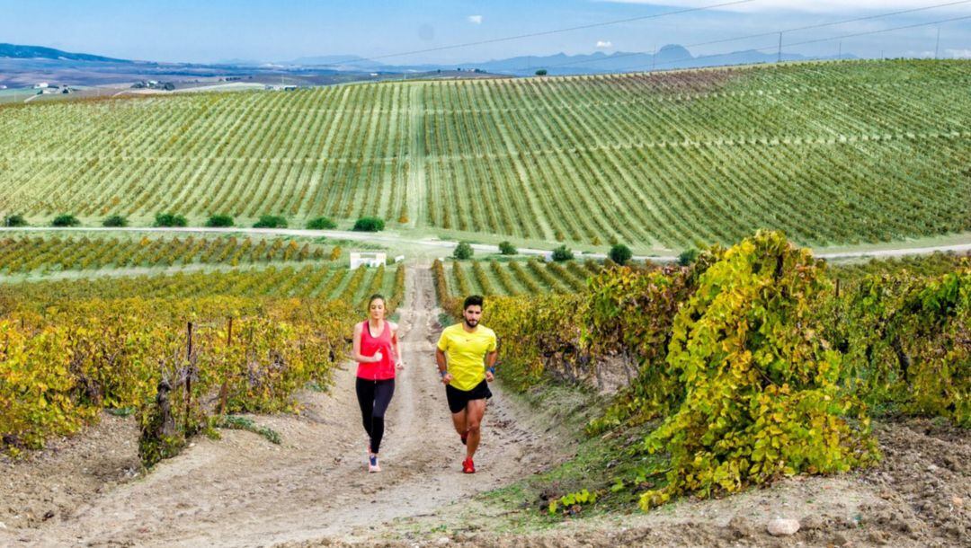 La Sherry Maratón registra la mayor inscripción desde que se creó 