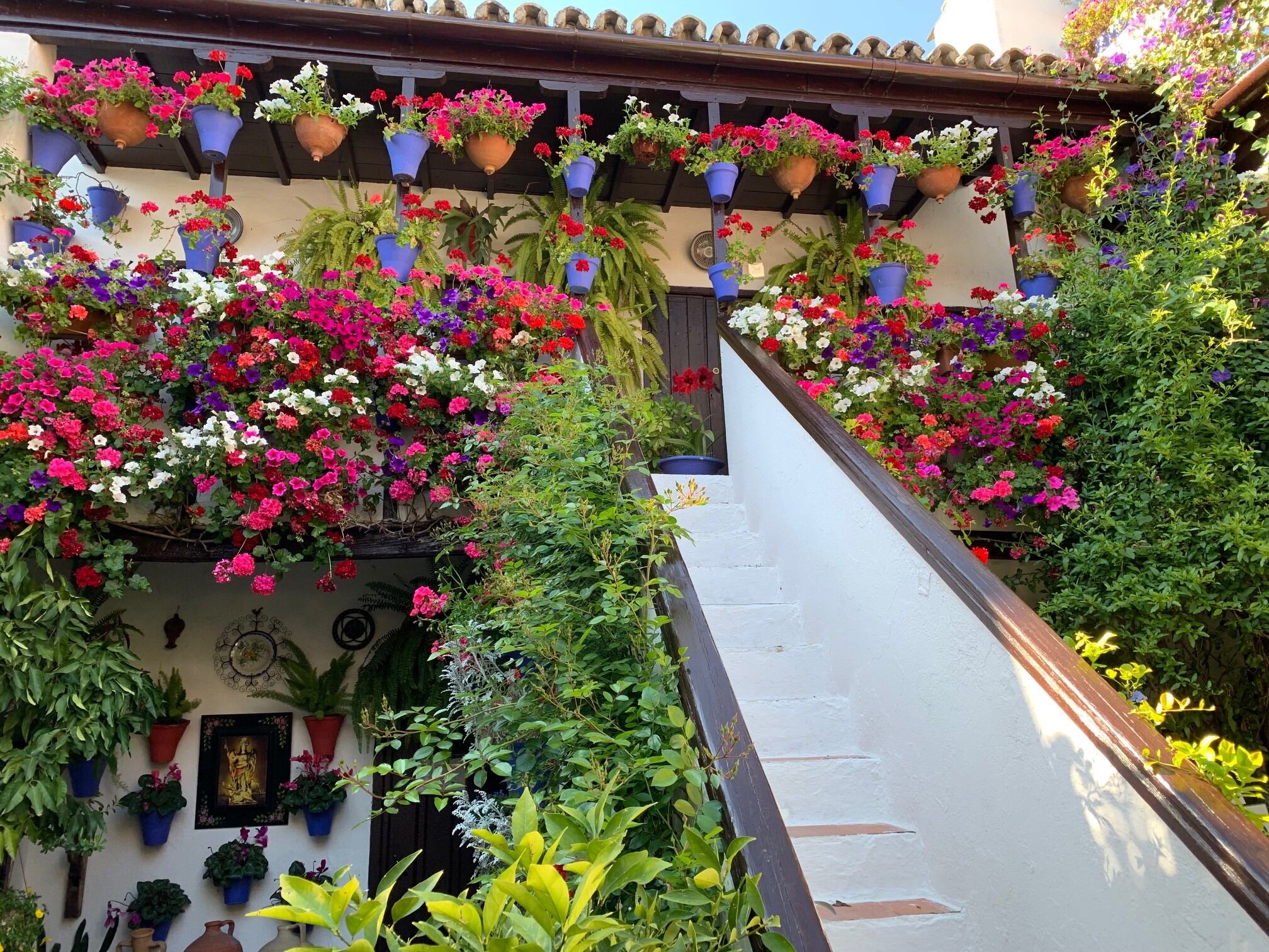 Patios de Córdoba