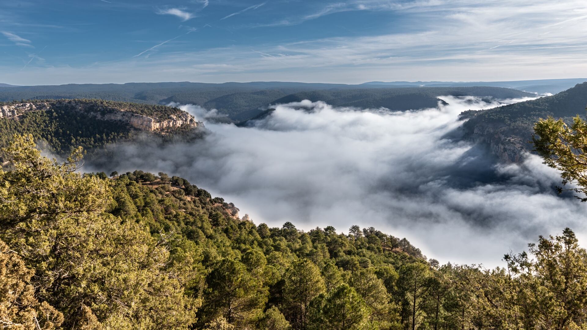 Ganador 'Paisaje': Jesús Carrizo.