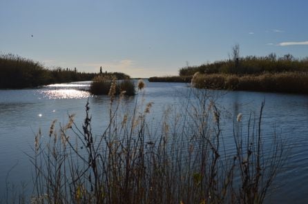 Desembocadura Río Mijares