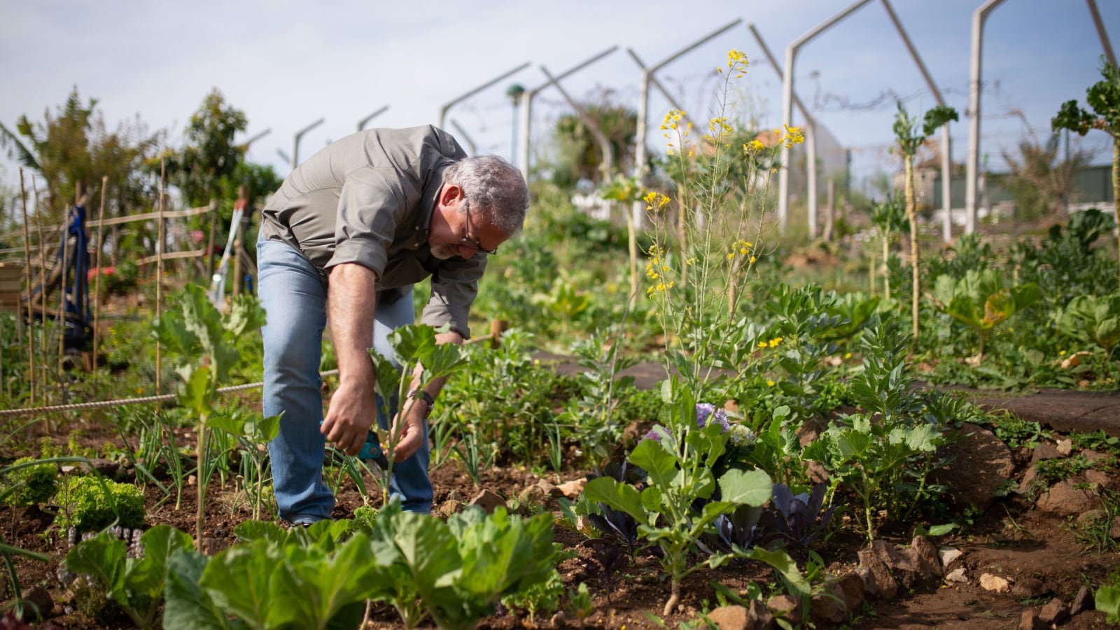 Renovación del acuerdo con INEA