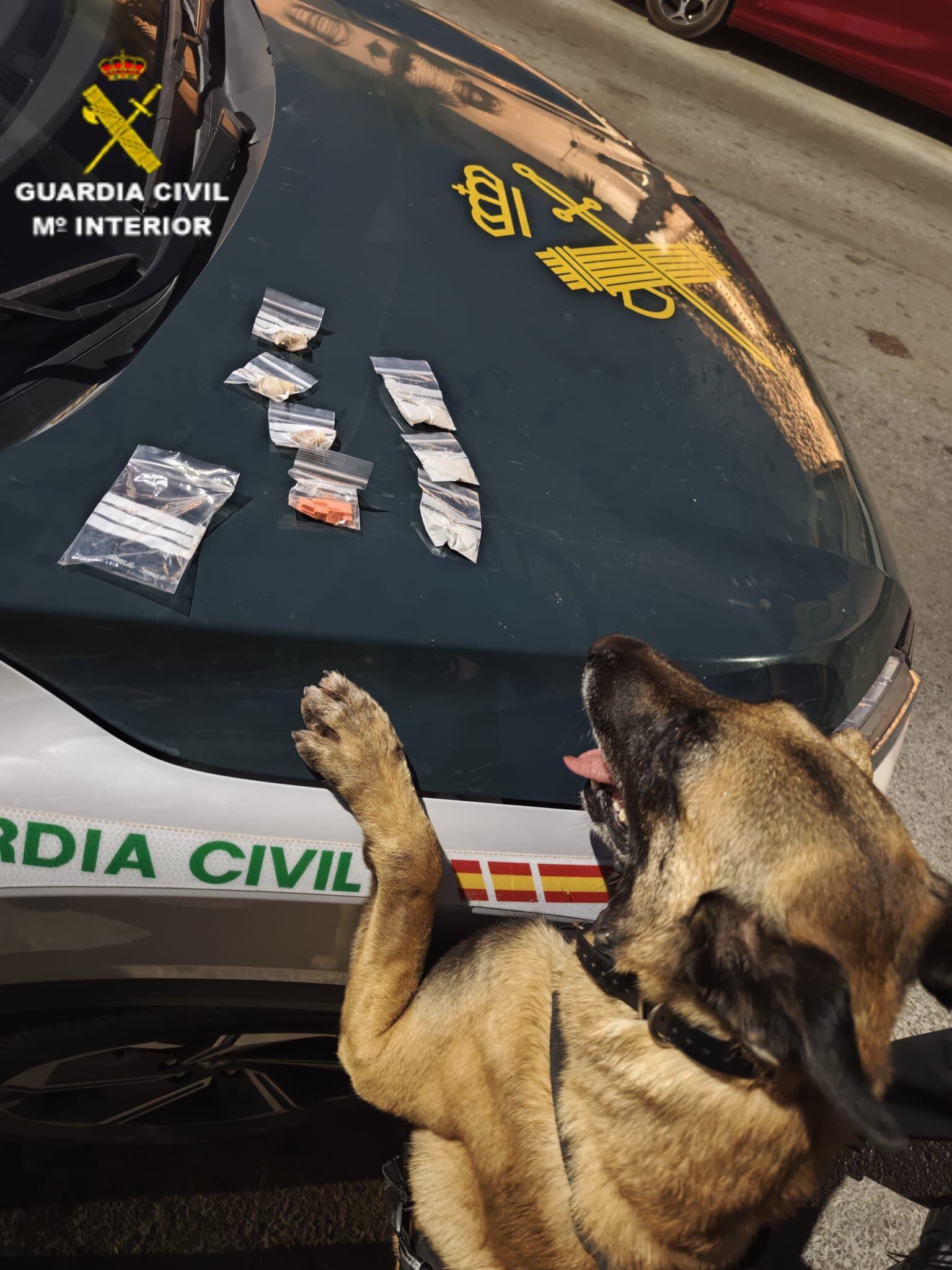 Se le intervinieron diversas cantidades de droga