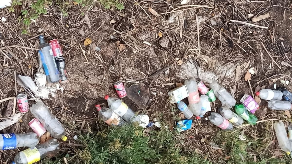Adega denuncia la acumulación de basura en el margen de la ría de O Burgo, en el entorno del Jardín Botánico