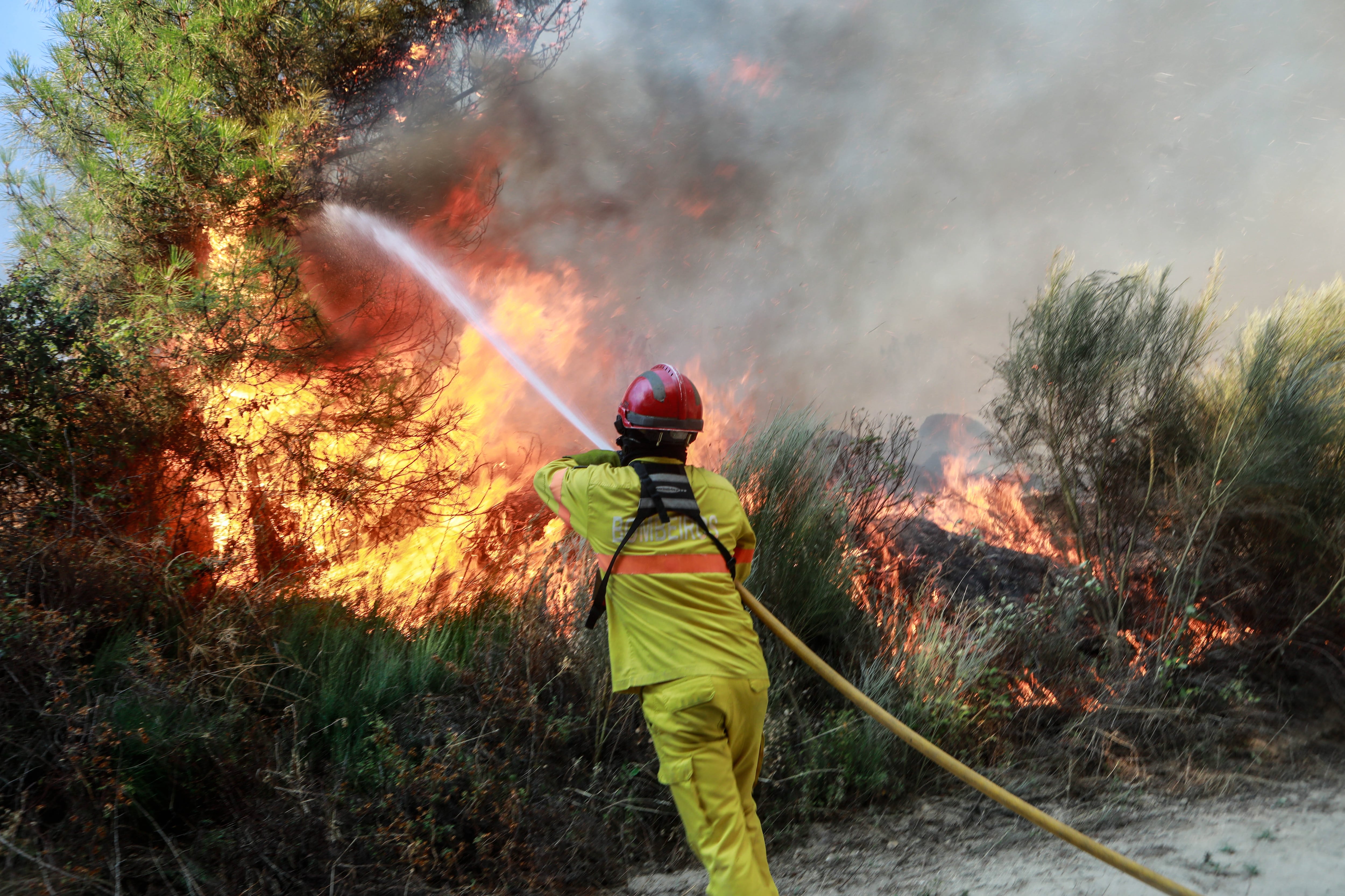 Incendio forestal