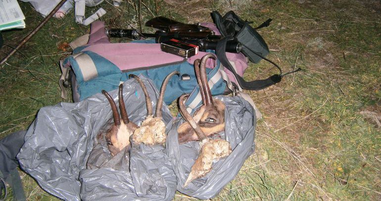 Agents Rurals actuen contra el furtivisme d'isard organitzat al Pirineu (2016) al terme municipal d’Alt Àneu (Pallars Sobirà)