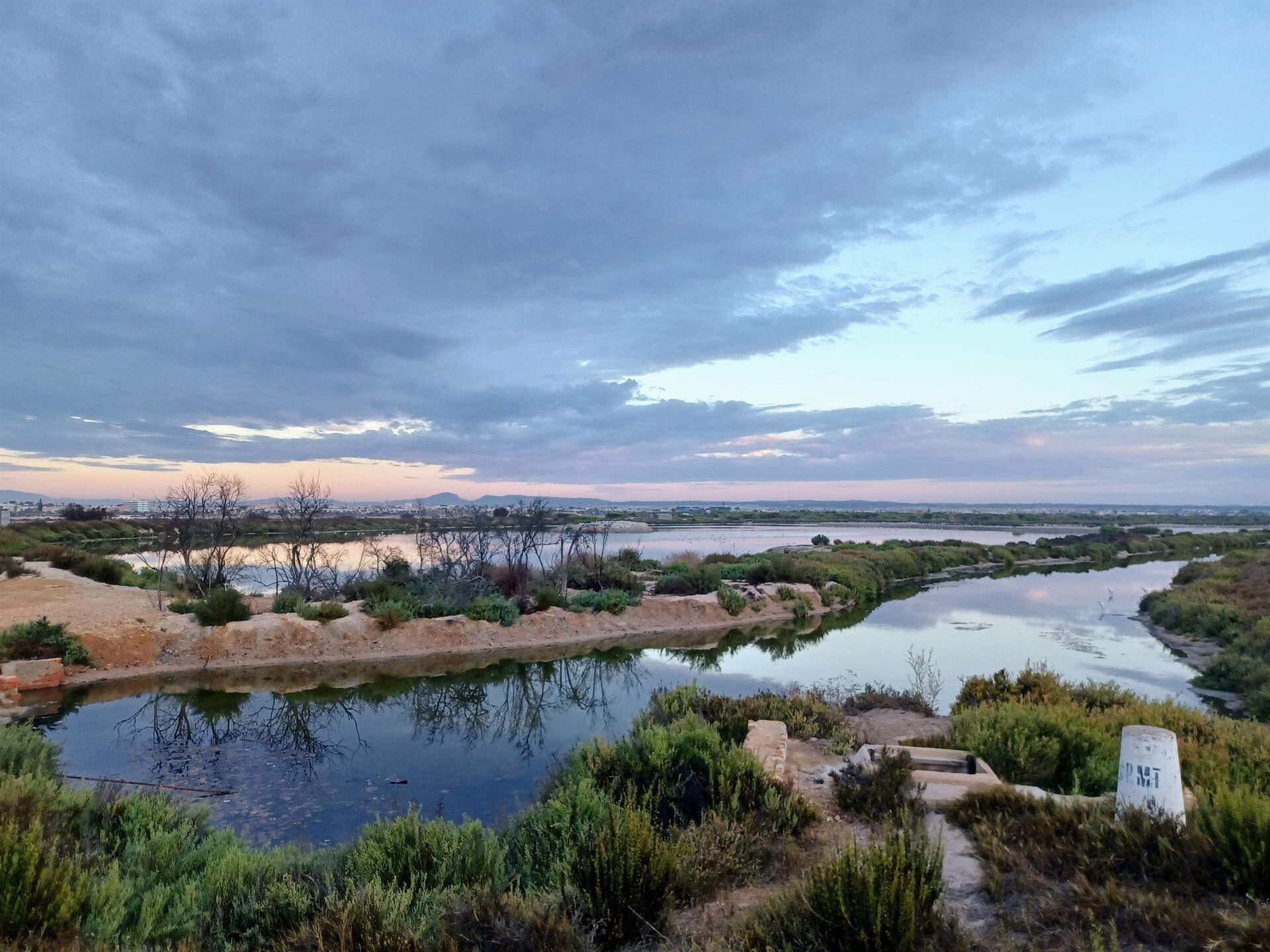 Charca Coterillo, uno de los humedales de la Región de Murcia, localizado en el Parque Regional de las Salinas y Arenales de San Pedro del Pinatar