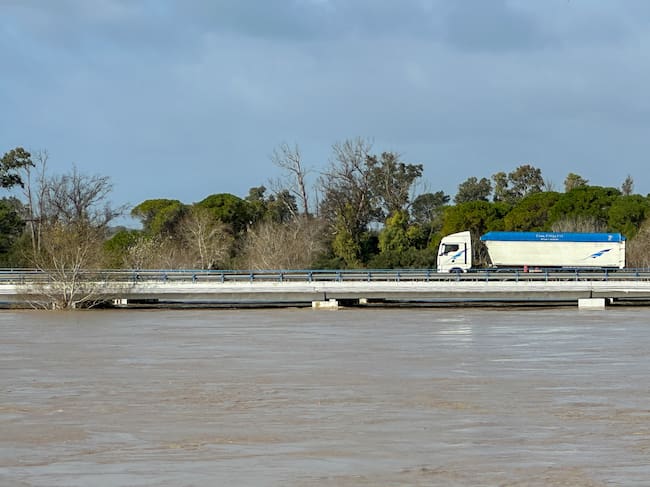 EL PORTAL (ESPAÑA), 06/02/2026.- Vista de la crecida del Guadalete a su paso por la pedanía de El Portal, en Jerez de la Frontera. La borrasca Leonardo, que ha provocado ya el desalojo de unas 8.000 personas en Andalucía, está dando una tregua durante este viernes a la región, tras una madrugada sin incidencias graves, a la espera de la llegada mañana de una nueva borrasca, Marta, que volverá a provocar lluvias muy abundantes en zonas que ya están muy castigadas. EFE/ David Arjona