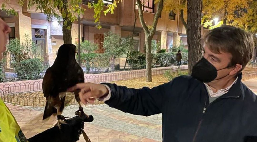 El alcalde de Tres Cantos, Jesús Moreno, comprueba los trabajos con aves rapaces en el municipio