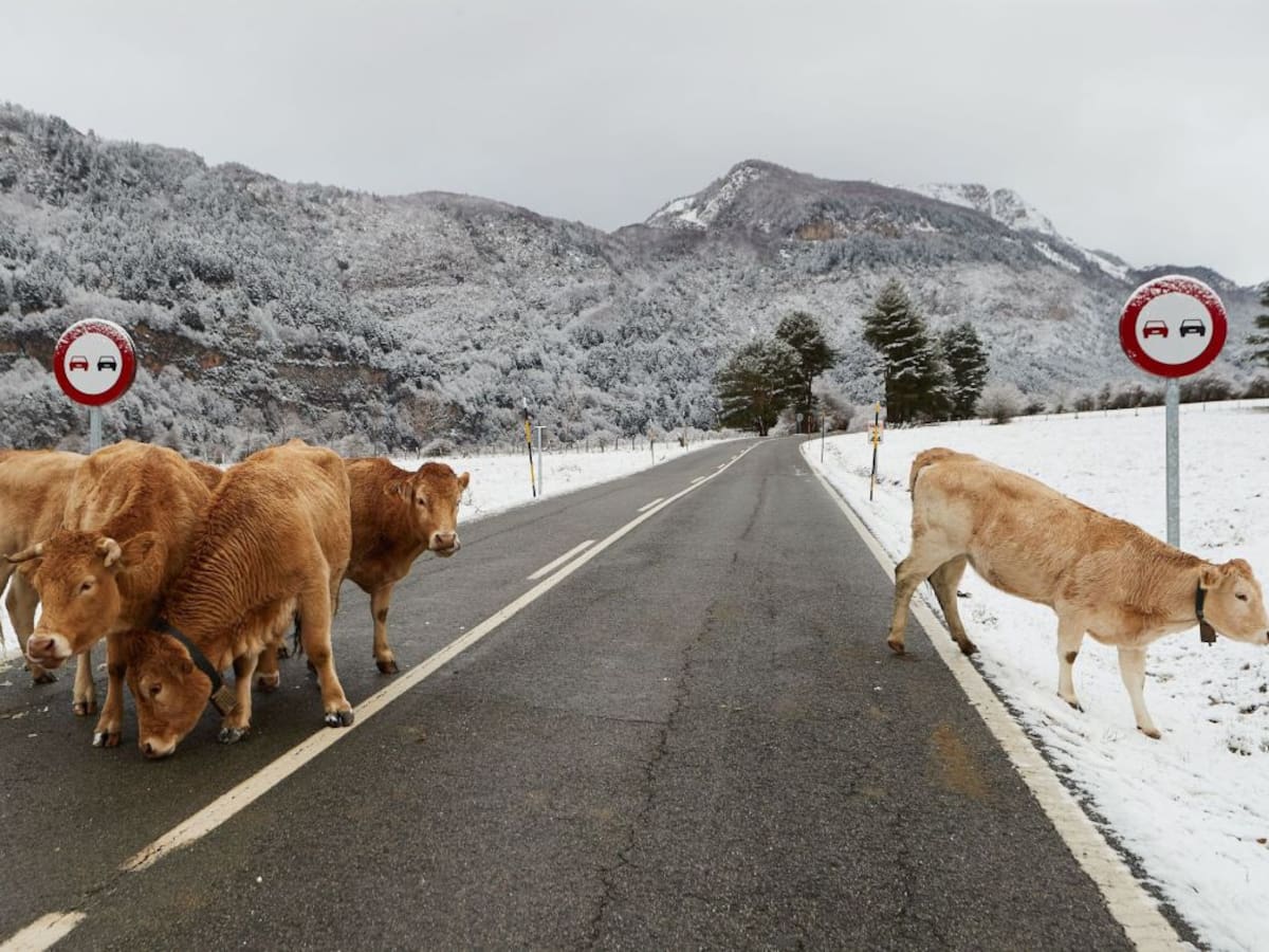 Movilizados 60 equipos quitanieves en Navarra al persistir el riesgo de nevadas