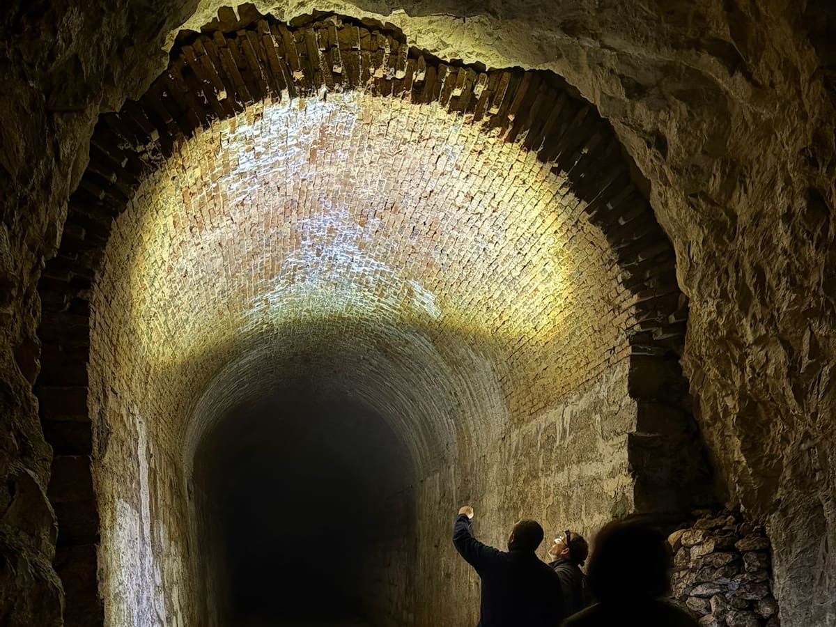 Canals propiciará una mejor "casa" a un murciélago en extinción