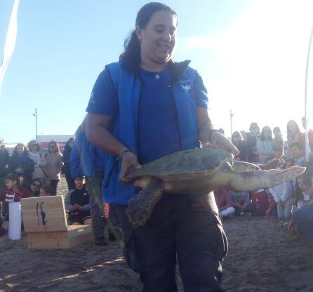 Suelta de tortuga en la playa del Arenal.