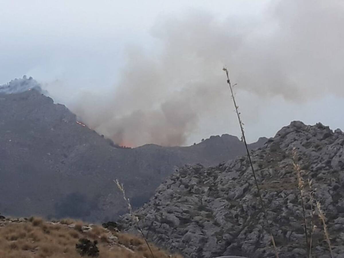 Controlado el incendio de Cala Tuent que ha quemado 51 hectáreas