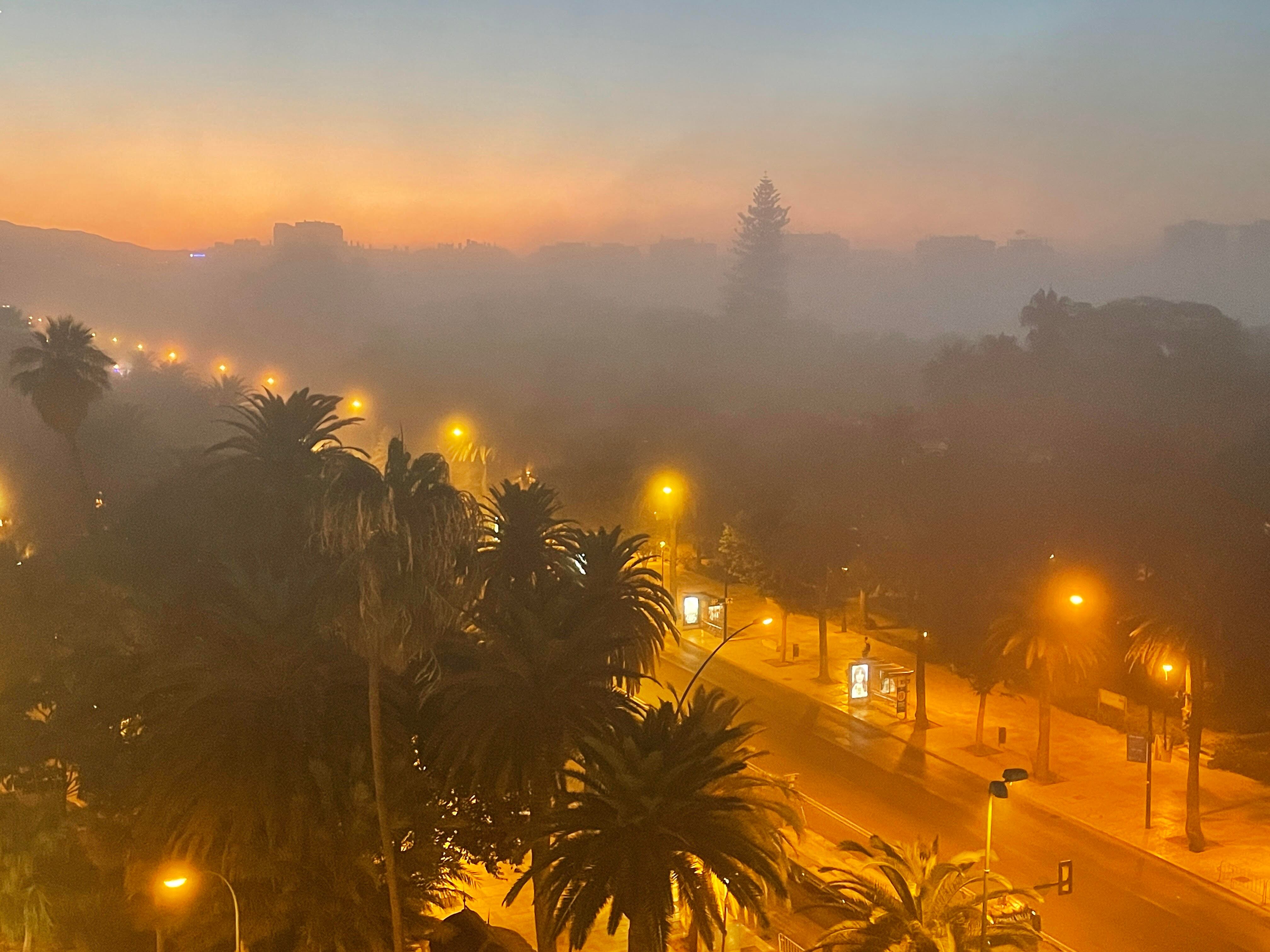 El taró cubriendo el Paseo del Parque de Málaga este lunes