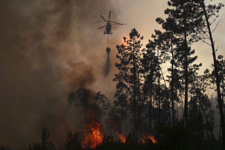 Incendio forestal en Portugal hace unas semanas