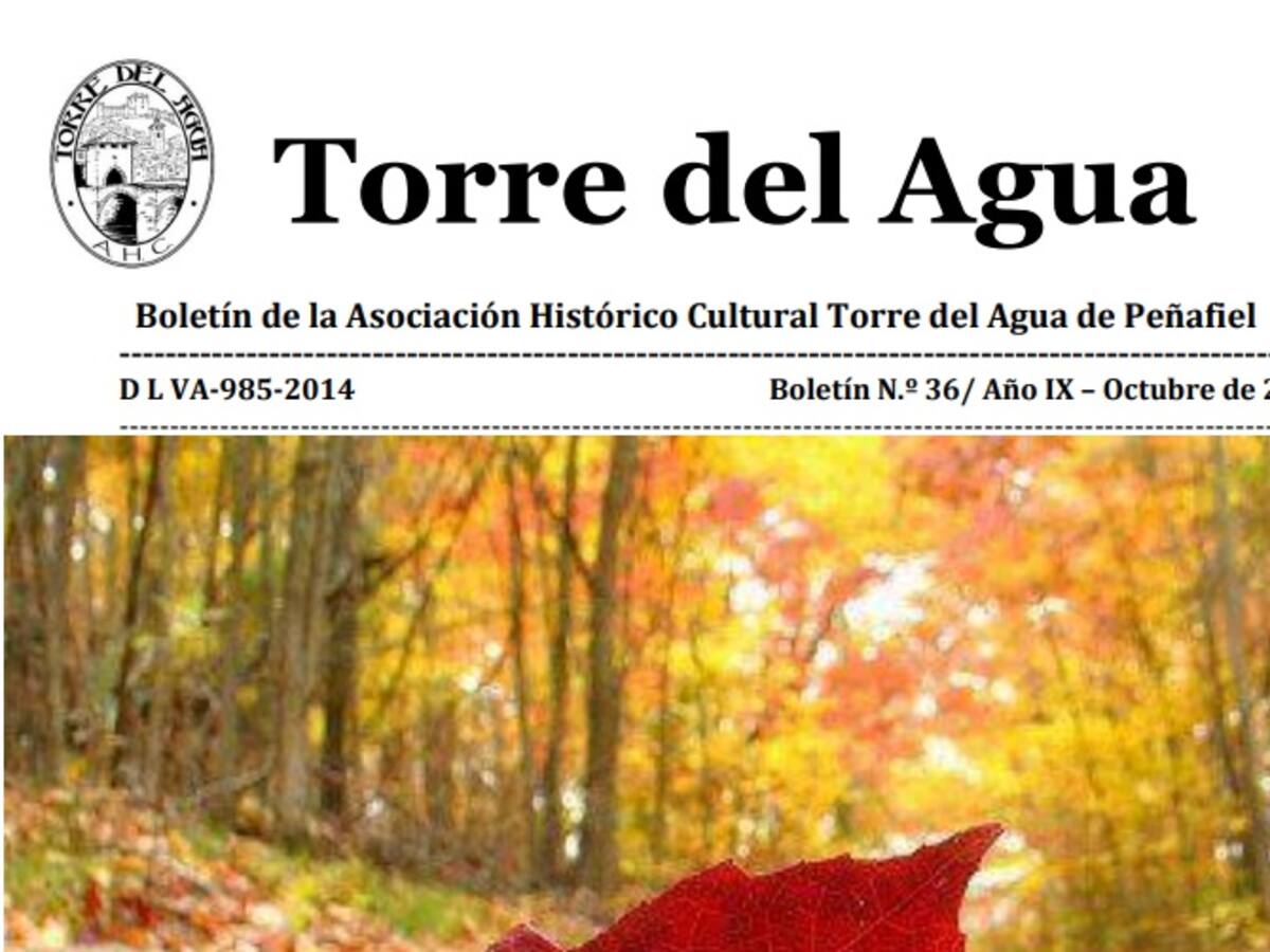 La AD Torre del Agua presenta el nuevo número de su revista