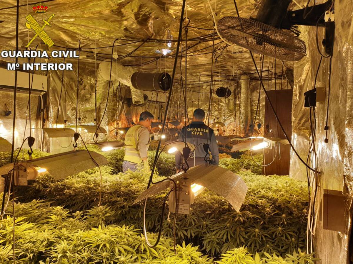 La Guardia Civil desmantela un inmueble dedicado al cultivo de marihuana en Montroi