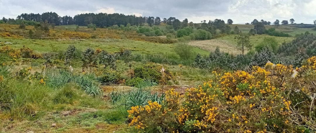 Monte do Gato, donde Greenalia y Galenergy proyectan seis parques eólicos