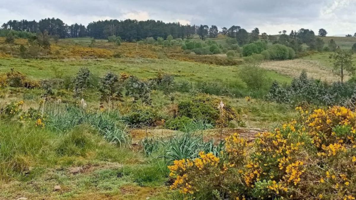 Entrevista a Mónica Fernández Aceytuno (08/05/2021)