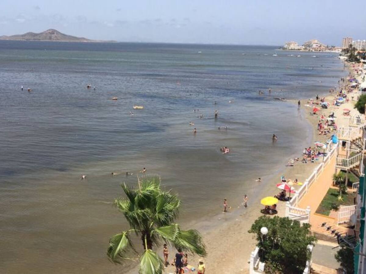 El ayuntamiento de Cartagena se personará en la causa del Mar Menor y Ecologistas lo está estudiando