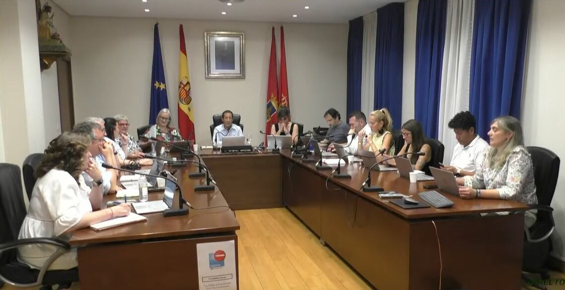 Pleno del Ayuntamiento de Peralta que decidió por unanimidad actuar contra el vecino que les ha denunciado