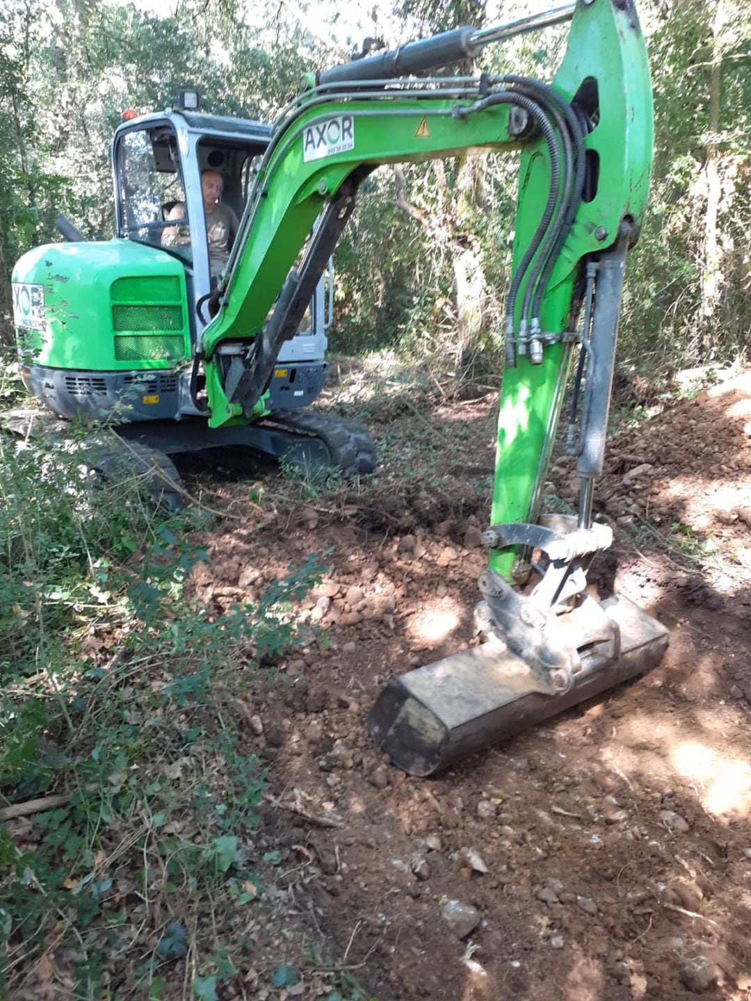 Una excavadora comienza a desbrozar el terreno donde se presume se encuentra la fosa de La Cartuja