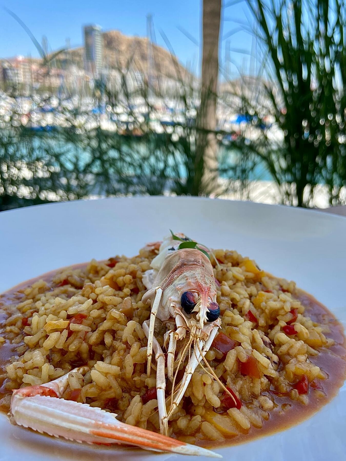 VII Simposio del Arroz del restaurante Dársena