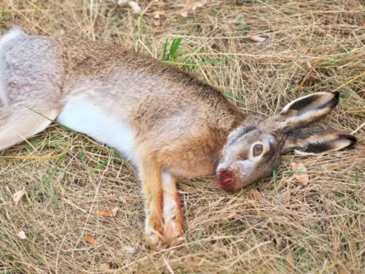 "Me gusta ganarme las cosas, no que me las regalen, pero lo primero son mis hijos"
