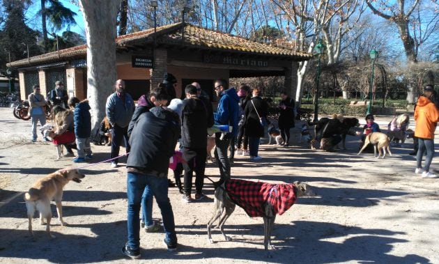 Concentración en Toledo